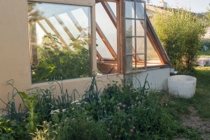 greenhouse2